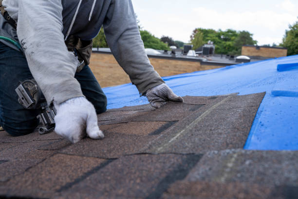 Best Residential Roofing Contractor  in Cavalier, ND