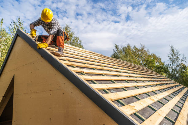 Best Residential Roofing Contractor  in Cavalier, ND